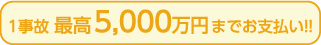 1事故最高5,000万円までお支払い！！